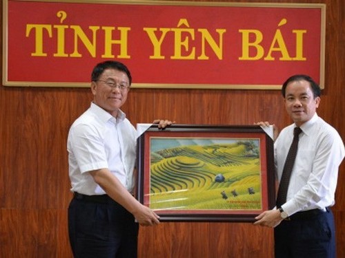 Vietnam, China share experience in ethnic affairs  - ảnh 1
